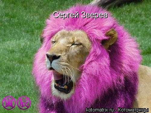 Котоматрица: Сергей Зверев