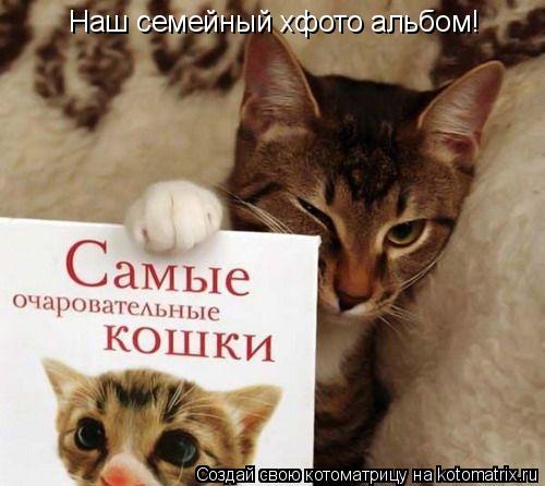 Наш семейный хфото альбом!... Котоматрица: Наш семейный хфото альбом!