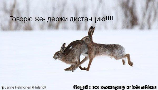 Котоматрица: Говорю же- держи дистанцию!!!!