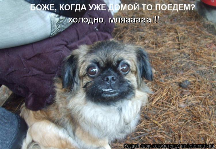 Котоматрица: холодно, мляааааа!!!