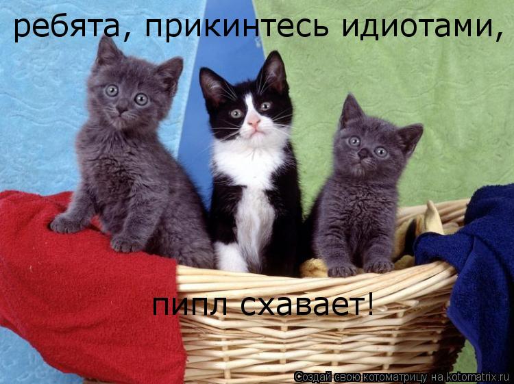 Котоматрица: ребята, прикинтесь идиотами, пипл схавает!  пипл схавает!