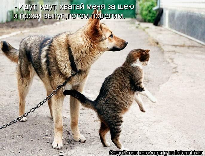 - Идут, идут, хватай меня за шею и проси выкуп,потом поделим.... Котоматрица: - Идут, идут, хватай меня за шею и проси выкуп,потом поделим.