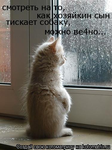 Котоматрица: смотреть на то, как хозяйкин сын тискает собаку, можно ве4но...