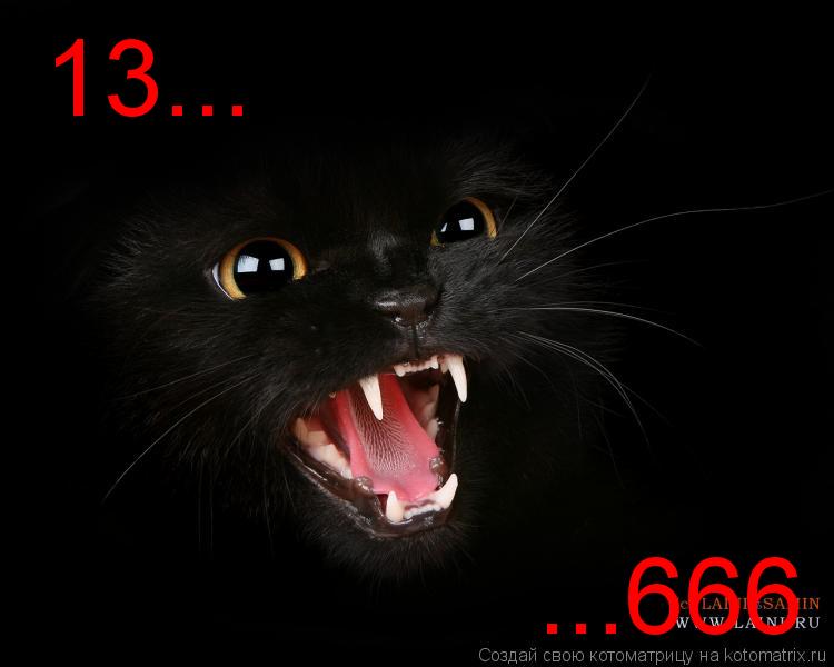 Котоматрица: 13... ...666