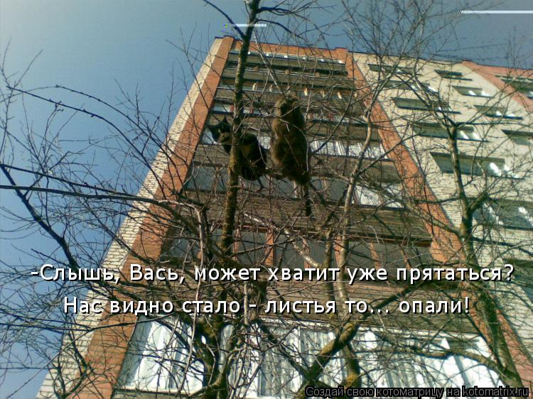 -Слышь, Вась, может хватит уже прятаться? Нас видно стало - листья то... опали!... Котоматрица: -Слышь, Вась, может хватит уже прятаться? Нас видно стало - листья то... опали!