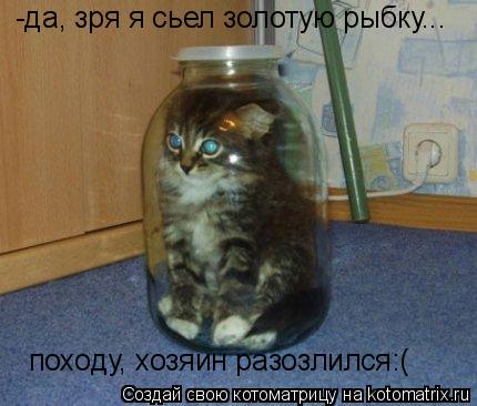 -да, зря я сьел золотую рыбку... походу, хозяин разозлился:(... Котоматрица: -да, зря я сьел золотую рыбку... походу, хозяин разозлился:(