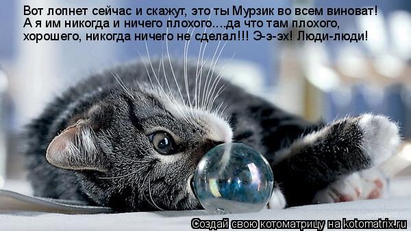 Котоматрица: Вот лопнет сейчас и скажут, это ты Мурзик во всем виноват! А я им никогда и ничего плохого....да что там плохого, хорошего, никогда ничего не сд