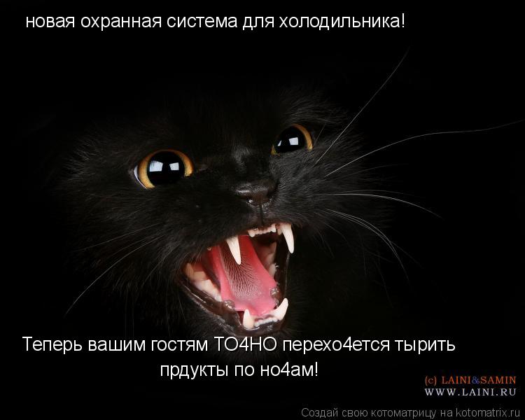 Котоматрица: новая охранная система для холодильника! Теперь вашим гостям ТО4НО перехо4ется тырить  прдукты по но4ам!