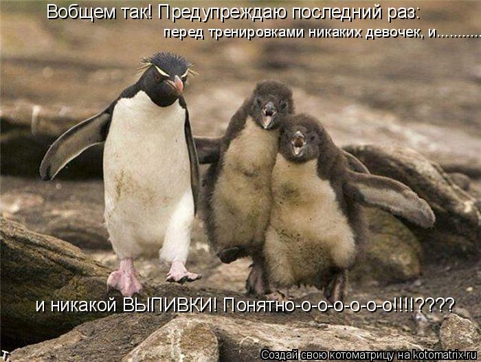Котоматрица: Вобщем так! Предупреждаю последний раз: перед тренировками никаких девочек, и........... и никакой ВЫПИВКИ! Понятно-о-о-о-о-о-о!!!!????