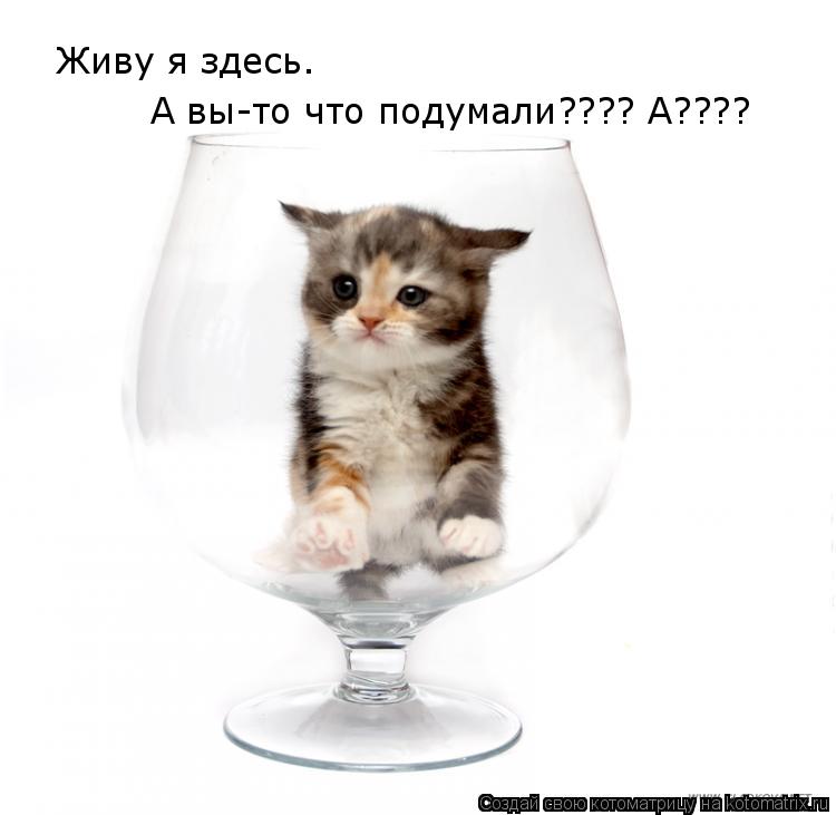 Котоматрица: Живу я здесь. А вы-то что подумали???? А????