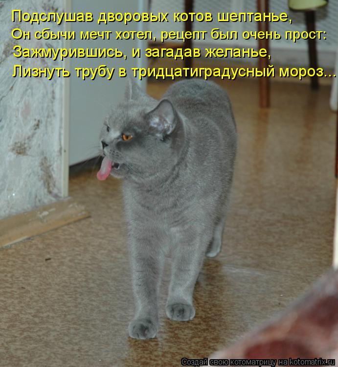 Подслушав дворовых котов шептанье, Он сбычи мечт хотел, рецепт был очень прост: Зажмурившись, и загад... Котоматрица: Подслушав дворовых котов шептанье, Он сбычи мечт хотел, рецепт был очень прост: Зажмурившись, и загадав желанье, Лизнуть трубу в тридцатигр
