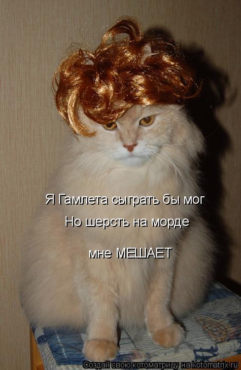 Котоматрица: Я Гамлета сыграть бы мог Но шерсть на морде мне МЕШАЕТ
