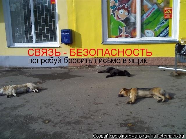 Котоматрица: СВЯЗЬ - БЕЗОПАСНОСТЬ попробуй бросить письмо в ящик...