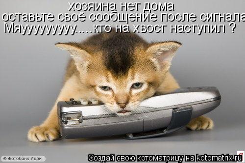 Котоматрица: хозяина нет дома  оставьте своё сообщение после сигнала..... оставьте своё сообщение после сигнала..... оставьте своё сообщение после сигнала.