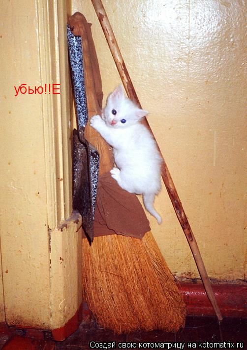 Котоматрица: убью!!Е