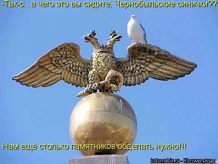 Котоматрица: -Так-с...а чего это вы сидите, Чернобыльские синички?? Нам ещё столько памятников обделать нужно!!!