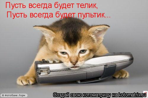 Котоматрица: Пусть всегда будет телик, Пусть всегда будет пультик...
