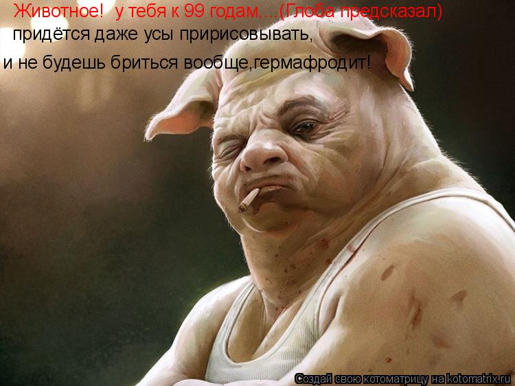 Животное! у тебя к 99 годам....(Глоба предсказал) придётся даже усы пририсовывать, и не будешь брить... Котоматрица: Животное! у тебя к 99 годам....(Глоба предсказал) придётся даже усы пририсовывать, и не будешь бриться вообще,гермафродит!