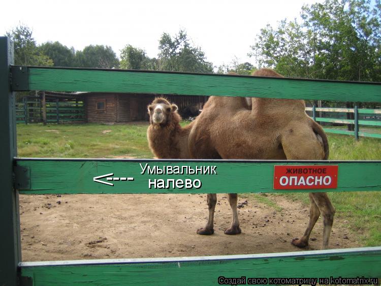 Умывальник налево / ----... Котоматрица: Умывальник налево / ----