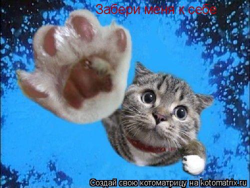 Котоматрица: Забери меня к себе