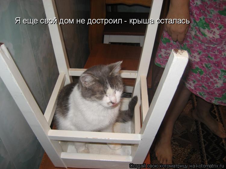 Котоматрица: Я еще свой дом не достроил - крыша осталась