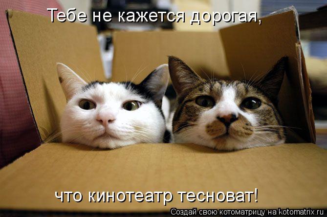 Тебе не кажется дорогая, что кинотеатр тесноват!... Котоматрица: Тебе не кажется дорогая, что кинотеатр тесноват!
