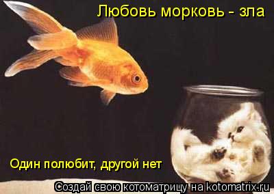 Котоматрица: Любовь морковь - зла Один полюбит, другой нет