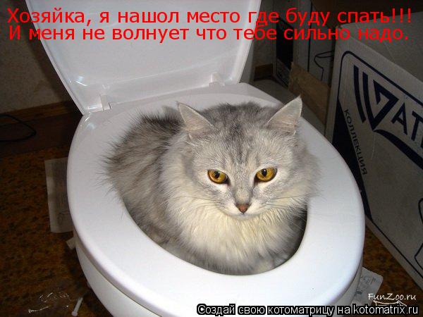 Котоматрица: Хозяйка, я нашол место где буду спать!!! И меня не волнует что тебе сильно надо.