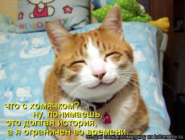 Котоматрица: что с хомячком?... ну, понимаешь, это долгая история, а я ограничен во времени...