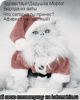 Котоматрица: Здравствуй!Дедушка Мороз! Борода из ваты Что сегодня ты принес? Аферист несчастный!