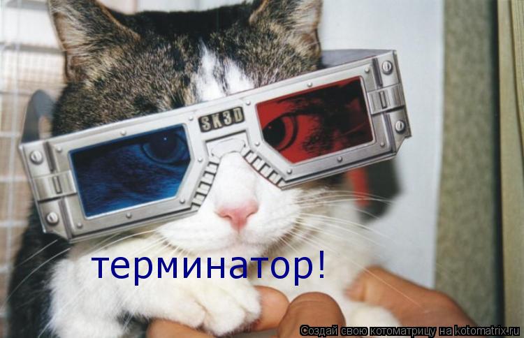 терминатор!... Котоматрица: терминатор!