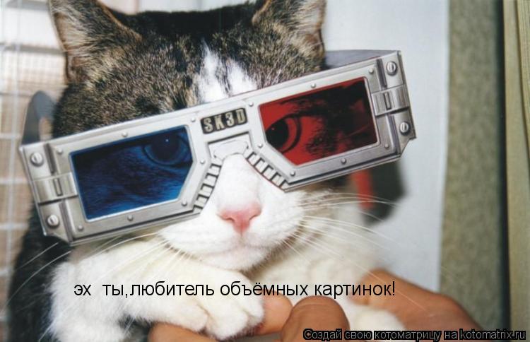 Котоматрица: эх  ты,любитель объёмных картинок!