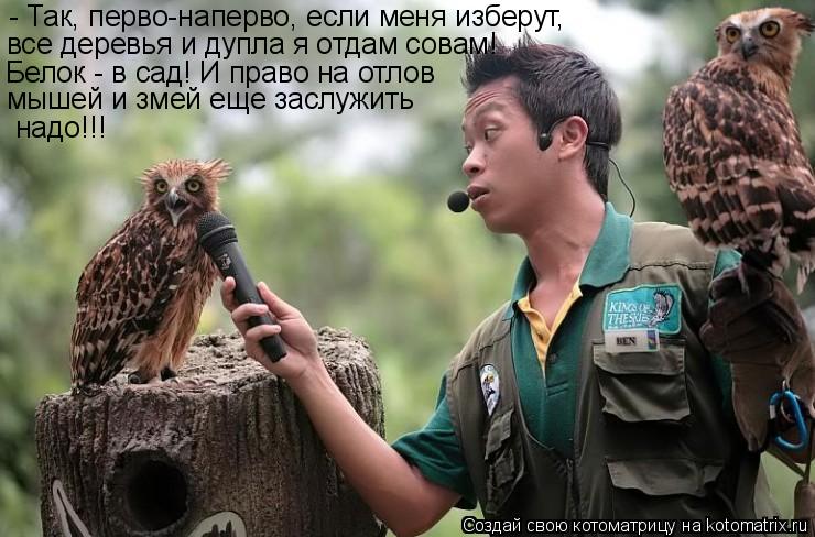 Котоматрица: - Так, перво-наперво, если меня изберут, все деревья и дупла я отдам совам!  Белок - в сад! И право на отлов мышей и змей еще заслужить надо!!!