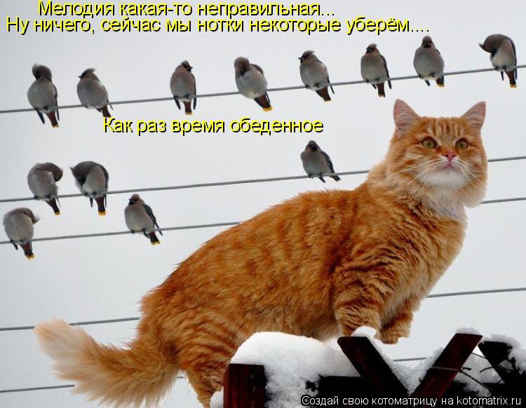 Котоматрица: Мелодия какая-то неправильная... Ну ничего, сейчас мы нотки некоторые уберём.... Как раз время обеденное