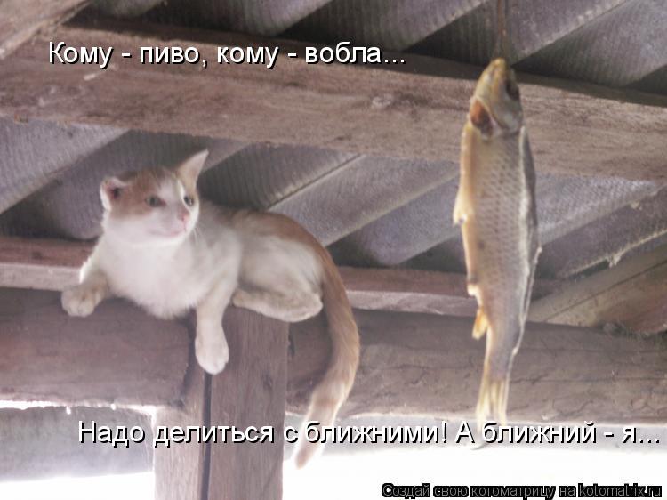 Кому - пиво, кому - вобла... Надо делиться с ближними! А ближний - я...... Котоматрица: Кому - пиво, кому - вобла... Надо делиться с ближними! А ближний - я...