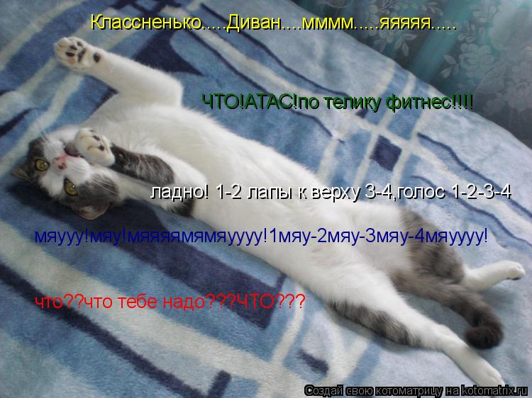 Классненько.....Диван....мммм.....яяяяя..... что??что тебе надо???ЧТО??? ЧТО!АТАС!по телику фитнес!!!... Котоматрица: Классненько.....Диван....мммм.....яяяяя..... что??что тебе надо???ЧТО??? ЧТО!АТАС!по телику фитнес!!!! ладно! 1-2 лапы к верху 3-4,голос 1-2-3-4 мяууу
