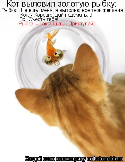 Котоматрица: Кот выловил золотую рыбку: Рыбка: -Не ешь, меня, я выполню все твои желания! Кот: - Хорошо, дай подумать...! Во! Съесть тебя! Рыбка: - Так и быть...Пр