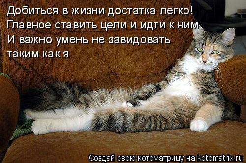 Добиться в жизни достатка легко! Главное ставить цели и идти к ним И важно умень не завидовать таки... Котоматрица: Добиться в жизни достатка легко! Главное ставить цели и идти к ним И важно умень не завидовать таким как я