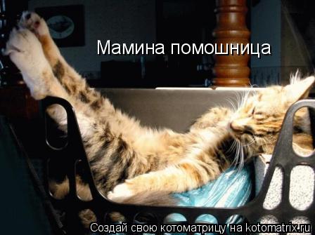 Котоматрица: Мамина помошница