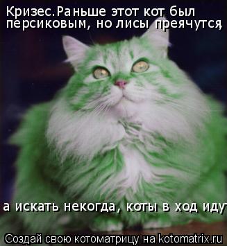 Котоматрица: Кризес.Раньше этот кот был  персиковым, но лисы преячутся , , а искать некогда, коты в ход идут