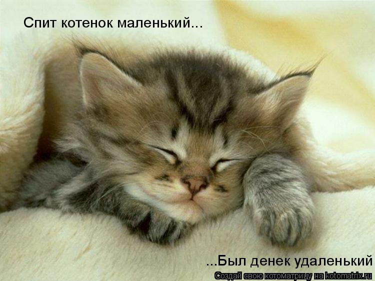 Котоматрица: Спит котенок маленький... ...Был денек удаленький