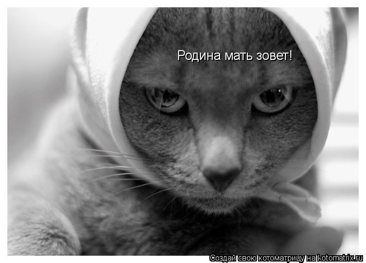 Котоматрица: Родина мать зовет!