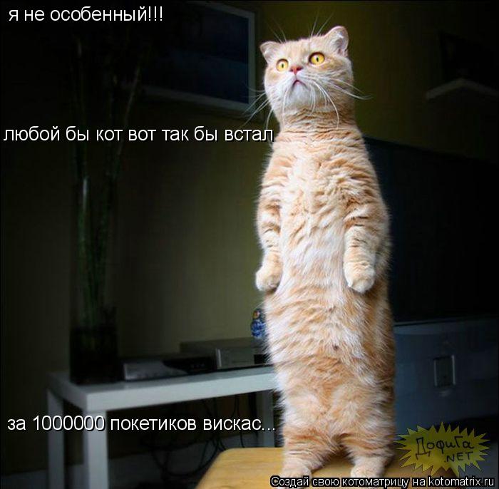 Котоматрица: я не особенный!!! любой бы кот вот так бы встал  за 1000000 покетиков вискас...