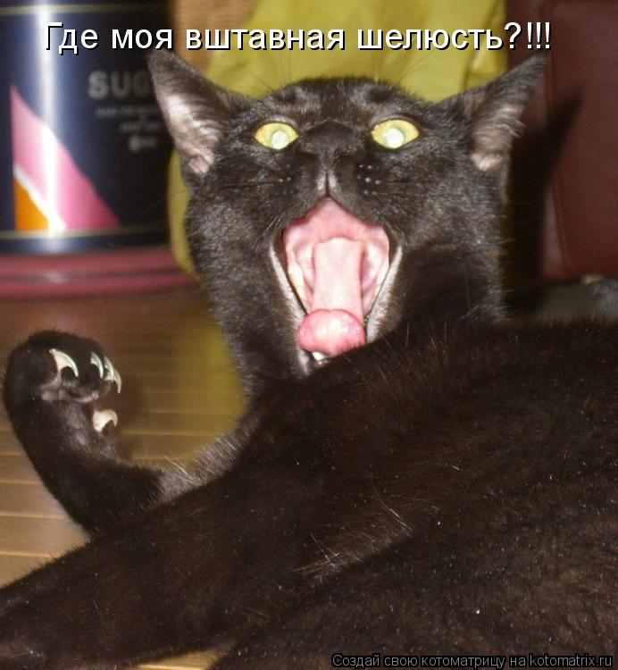 Где моя вштавная шелюсть?!!!... Котоматрица: Где моя вштавная шелюсть?!!!