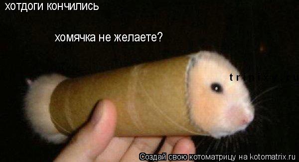 Котоматрица: хотдоги кончились хомячка не желаете?