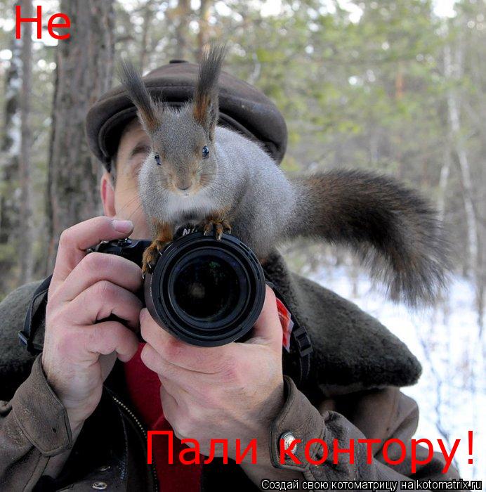 Котоматрица: Не  Пали контору!