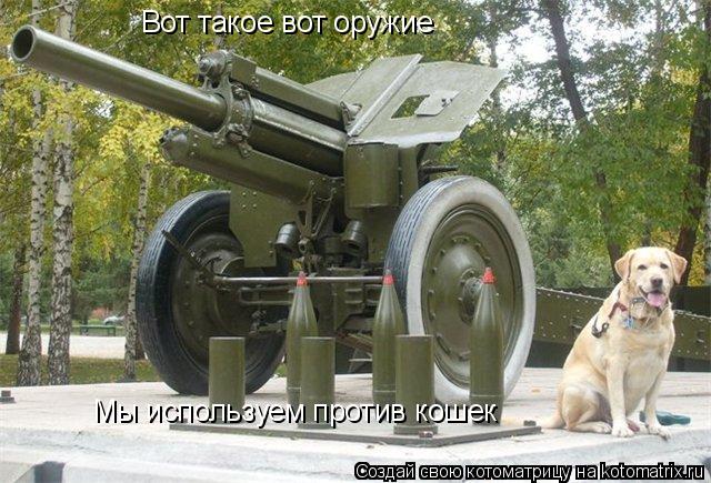 Вот такое вот оружие Мы используем против кошек... Котоматрица: Вот такое вот оружие Мы используем против кошек
