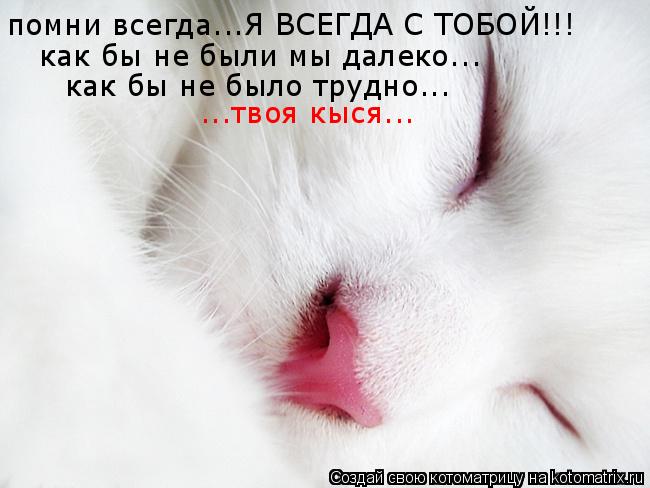 помни всегда...Я ВСЕГДА С ТОБОЙ!!! как бы не были мы далеко... как бы не было трудно... ...твоя кыся.... Котоматрица: помни всегда...Я ВСЕГДА С ТОБОЙ!!! как бы не были мы далеко... как бы не было трудно... ...твоя кыся...