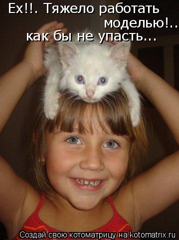 Ех!!. Тяжело работать моделью!.. как бы не упасть...... Котоматрица: Ех!!. Тяжело работать моделью!.. как бы не упасть...