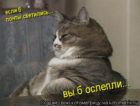 Котоматрица: если б понты светились вы б ослепли... ...